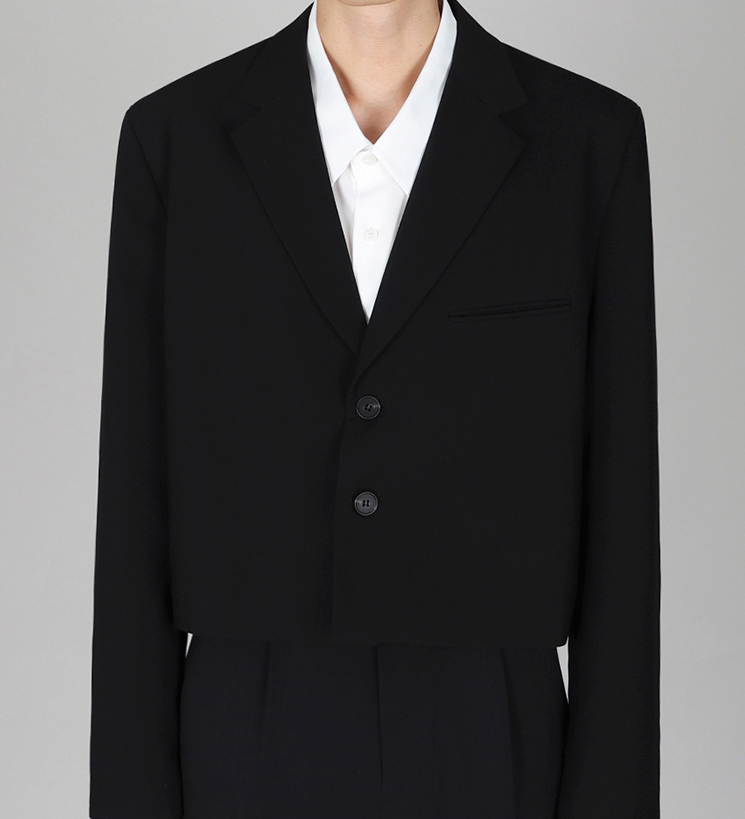 RT No. 4184 CROPPED BLAZER SUIT